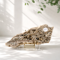 agat / chalcedon geode med druzy quartz indeni.